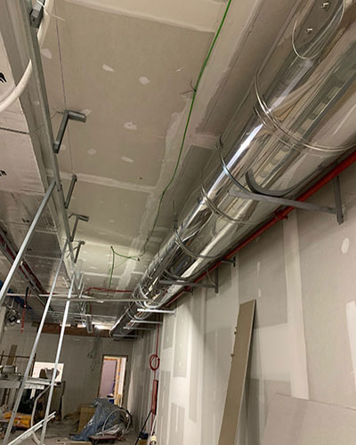 Descripción de la imagen