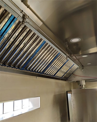 Descripción de la imagen