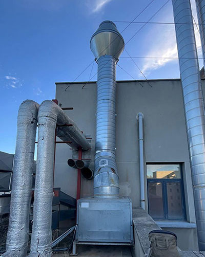 Descripción de la imagen